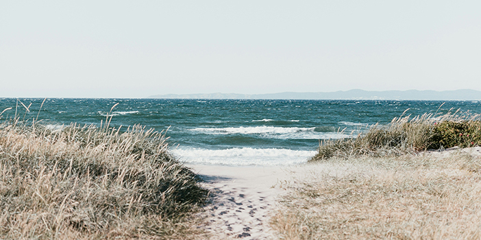 Dansk strand
